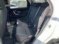 Land Rover Discovery Sport 2.0 TD4 150 CV SE Wit - thumbnail 10