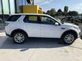 Land Rover Discovery Sport 2.0 TD4 150 CV SE Wit - thumbnail 5