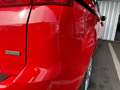 Ford Grand C-Max Grand C-MAX Easy 1,0 EcoBoost Rot - thumbnail 7