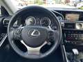 Lexus IS 300 300h Hybrid 181pk First Edition LIEFHEBBER AUTO Grau - thumbnail 23