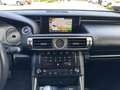 Lexus IS 300 300h Hybrid 181pk First Edition LIEFHEBBER AUTO Grau - thumbnail 20