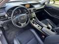 Lexus IS 300 300h Hybrid 181pk First Edition LIEFHEBBER AUTO Grau - thumbnail 8