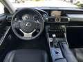 Lexus IS 300 300h Hybrid 181pk CVT Aut. First Edition LIEFHEBBE Grau - thumbnail 5