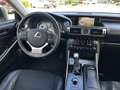 Lexus IS 300 300h Hybrid 181pk First Edition LIEFHEBBER AUTO Grau - thumbnail 17