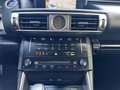 Lexus IS 300 300h Hybrid 181pk First Edition LIEFHEBBER AUTO Grau - thumbnail 14