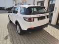 Land Rover Discovery Sport TD4 Weiß - thumbnail 3