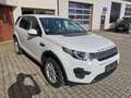 Land Rover Discovery Sport TD4 Weiß - thumbnail 4