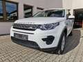 Land Rover Discovery Sport TD4 Weiß - thumbnail 1