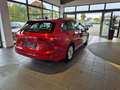 Volkswagen Golf Life 2.0 TDI Android Auto AHK IQ Drive Navi Rot - thumbnail 21