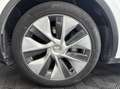 Tesla Model Y Standard Range 299CV RWD Weiß - thumbnail 12