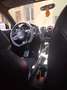 Audi TT TT II 2006 Coupe Coupe 2.0 tfsi Advanced Plus Arancione - thumbnail 12