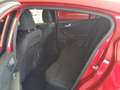 Ford Focus ST-Line X Navi Kamera Glasdach iACC Winter Rot - thumbnail 6