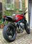 MV Agusta Brutale 800 Czerwony - thumbnail 2