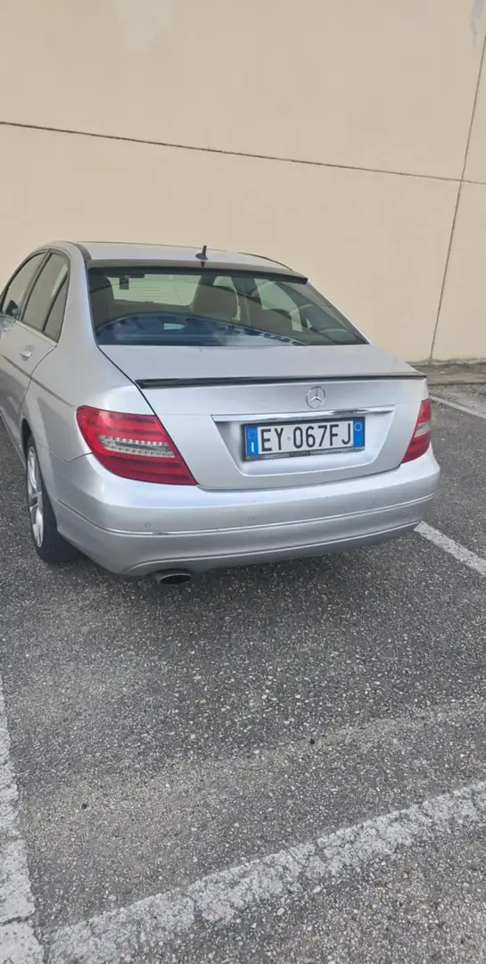 Mercedes-Benz 220 avanguardia Argintiu - 2