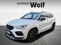 CUPRA Ateca 1.5 TSI DSG 150 Weiß - thumbnail 1