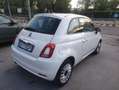 Fiat 500 500 1.2 Lounge Weiß - thumbnail 14