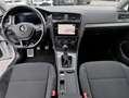 Volkswagen Golf Variant Alltrack 2.0 Tdi 150cv Executive 4motion Alb - thumbnail 8