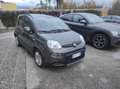 Fiat Panda Panda III 2021 1.0 firefly hybrid City Life s Grigio - thumbnail 2