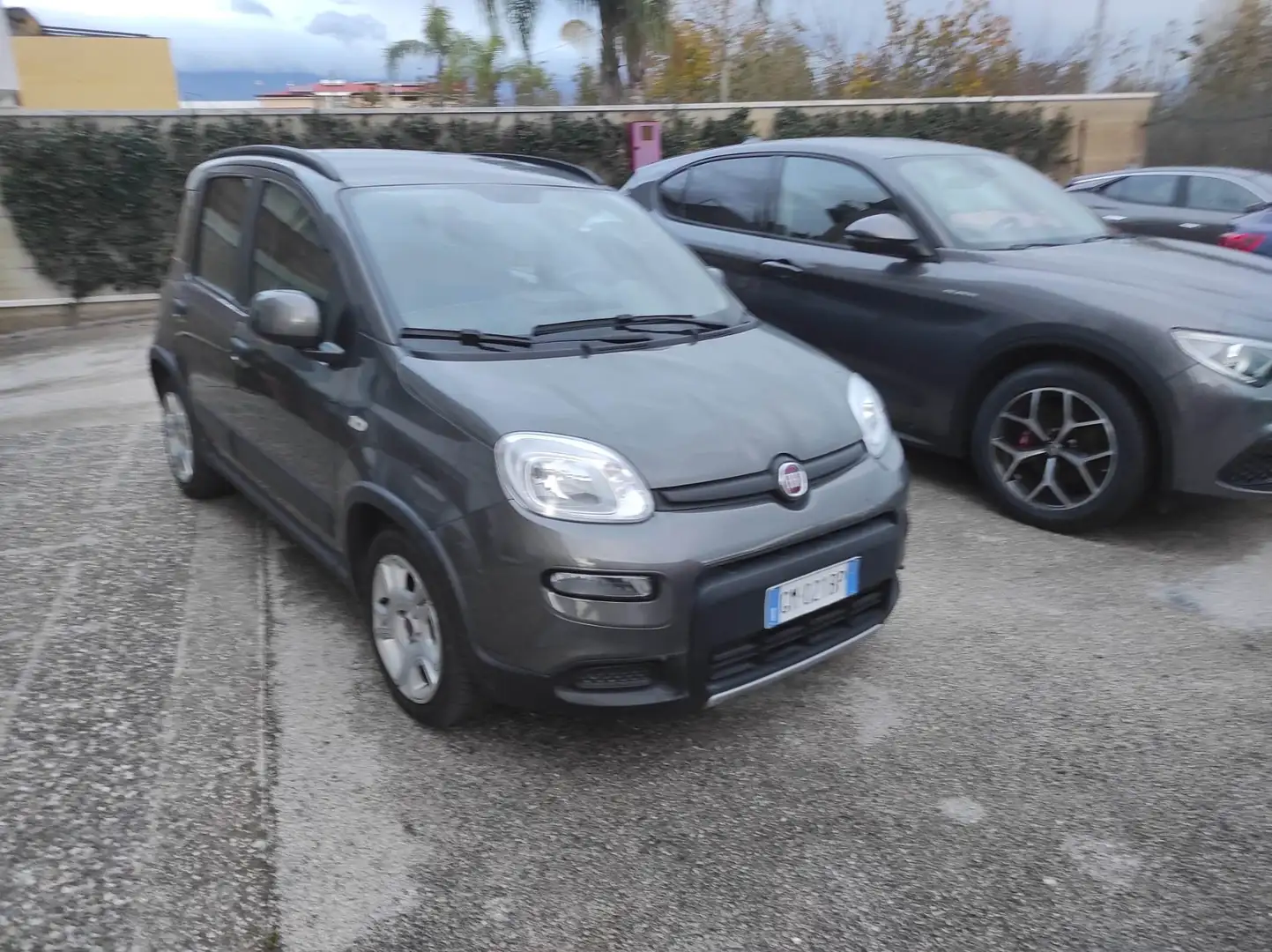 Fiat Panda Panda III 2021 1.0 firefly hybrid City Life s Grigio - 2