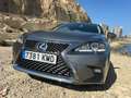 Lexus CT 200h CT 200h Business Gris - thumbnail 8
