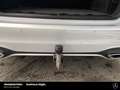 Mercedes-Benz B 220 B 220 d AMG Premium+ AHK LEDER Distronic NP68 Park Argent - thumbnail 10