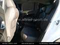 Jeep Avenger 1.2 e-hybrid Altitude | ASSISTENZ, STYLE Blanc - thumbnail 10