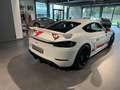 Porsche Cayman GT4 Sportscup Edition Weiß - thumbnail 7