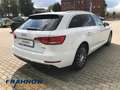 Audi A4 Avant 2.0 TFSI Design Bi-Xenon  ACC NAVI SHZ Weiß - thumbnail 4