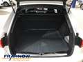 Audi A4 Avant 2.0 TFSI Design Bi-Xenon  ACC NAVI SHZ Weiß - thumbnail 11