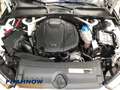 Audi A4 Avant 2.0 TFSI Design Bi-Xenon  ACC NAVI SHZ Weiß - thumbnail 25