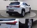 Lexus UX 200 Ux 250h 2.0 business 2wd cvt Alb - thumbnail 16