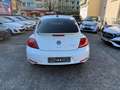Volkswagen Beetle Lim. Sport*Klimaau*Navi*Xen*PDS Blanc - thumbnail 5
