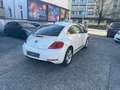Volkswagen Beetle Lim. Sport*Klimaau*Navi*Xen*PDS Blanc - thumbnail 4