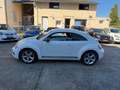 Volkswagen Beetle Lim. Sport*Klimaau*Navi*Xen*PDS Blanc - thumbnail 8