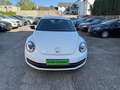 Volkswagen Beetle Lim. Sport*Klimaau*Navi*Xen*PDS Blanc - thumbnail 1