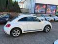 Volkswagen Beetle Lim. Sport*Klimaau*Navi*Xen*PDS Blanc - thumbnail 7