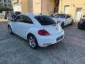 Volkswagen Beetle Lim. Sport*Klimaau*Navi*Xen*PDS Blanc - thumbnail 6