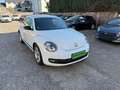Volkswagen Beetle Lim. Sport*Klimaau*Navi*Xen*PDS Blanc - thumbnail 2