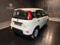 Fiat Panda 1.0 FireFly S&S Hybrid Weiß - thumbnail 5