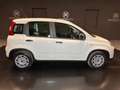 Fiat Panda 1.0 FireFly S&S Hybrid Blanc - thumbnail 4