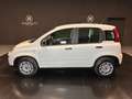 Fiat Panda 1.0 FireFly S&S Hybrid Blanc - thumbnail 8