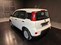 Fiat Panda 1.0 FireFly S&S Hybrid Bianco - thumbnail 7