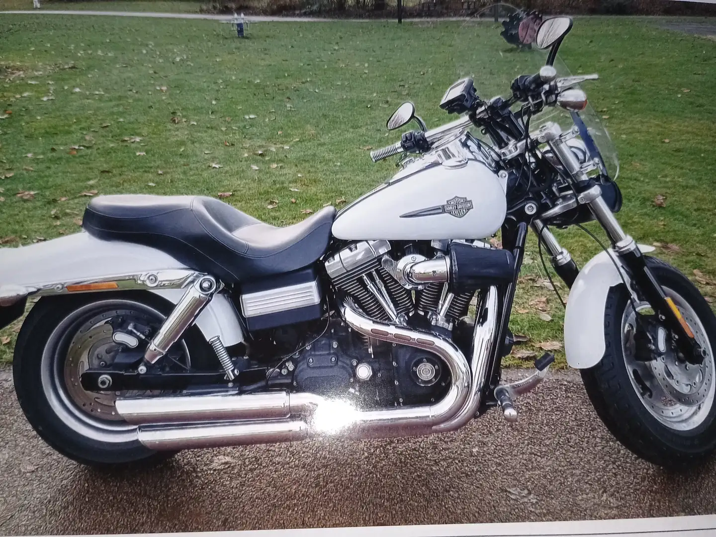 Harley-Davidson Dyna Fat Bob Wit - 1