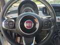 Fiat 500 FireFly Mild Hybrid 70 Cult Weiß - thumbnail 12