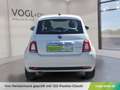 Fiat 500 FireFly Mild Hybrid 70 Cult Weiß - thumbnail 7