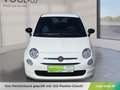 Fiat 500 FireFly Mild Hybrid 70 Cult Weiß - thumbnail 6