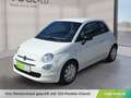 Fiat 500 FireFly Mild Hybrid 70 Cult Weiß - thumbnail 1