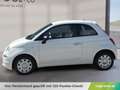Fiat 500 FireFly Mild Hybrid 70 Cult Weiß - thumbnail 2