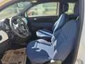 Fiat 500 FireFly Mild Hybrid 70 Cult Weiß - thumbnail 5