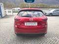Mazda CX-5 2.2 signature awd 184cv auto Rojo - thumbnail 6